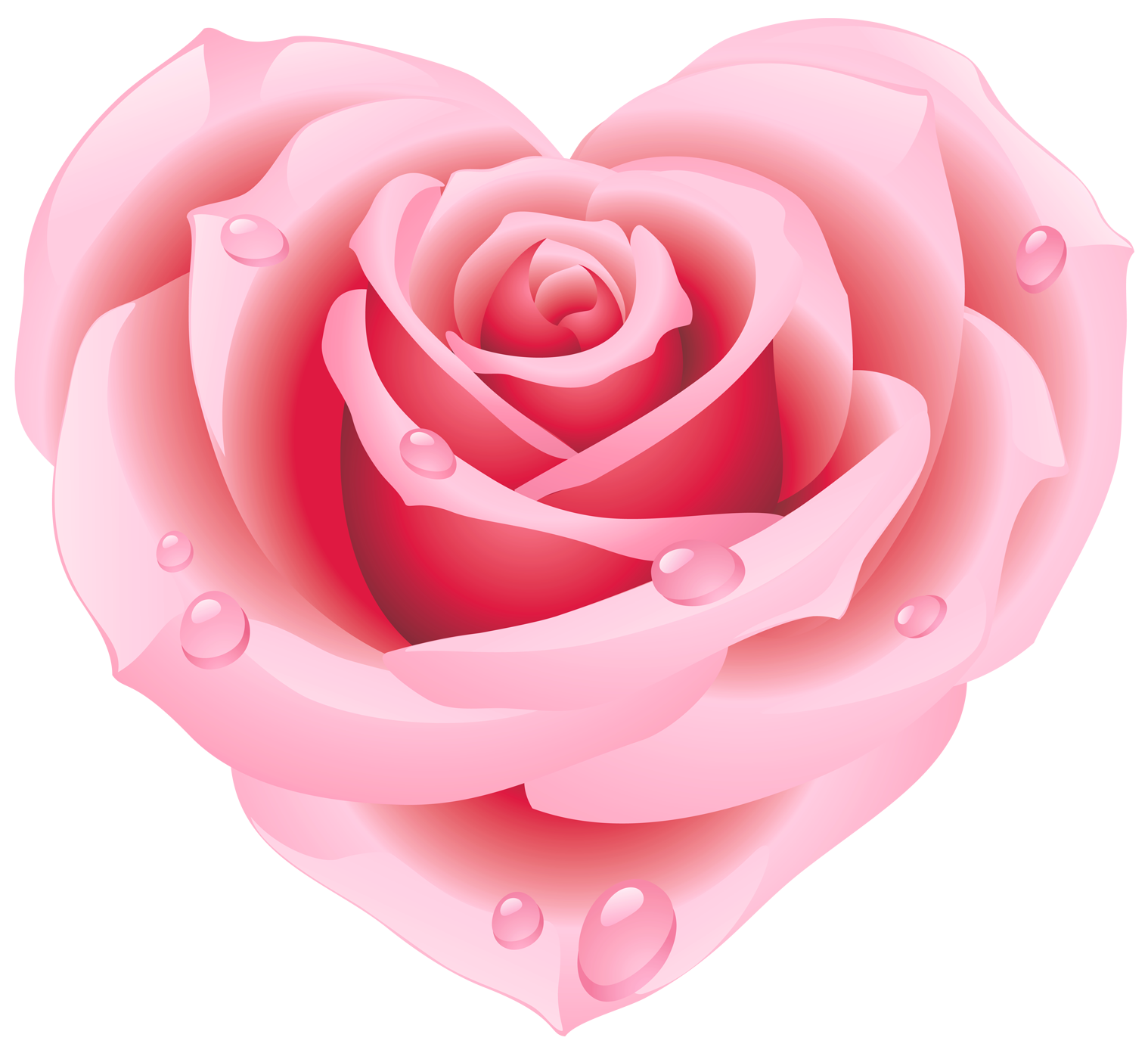 clipart de rose - photo #25